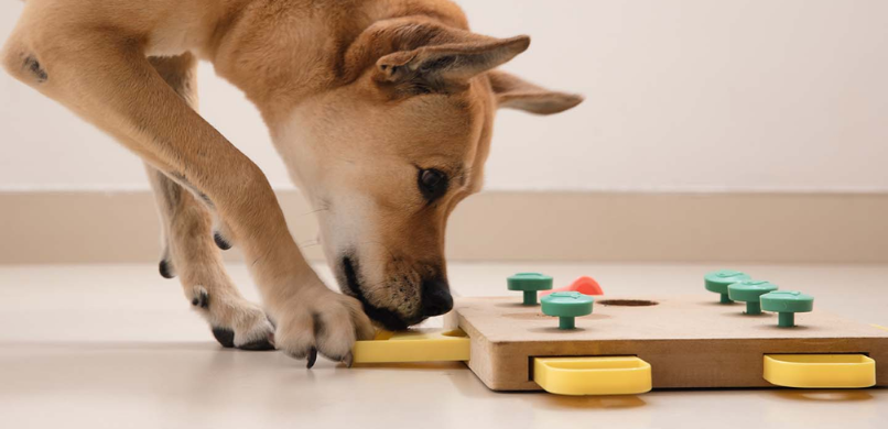 Puzzels en Interactieve Speeltjes voor je Huisdier